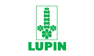 Lupin