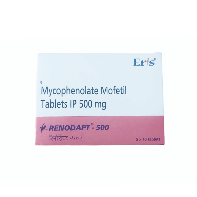 Front of Renodapt 500 Mycophenolate Mofetil Tablets IP box by Eris.